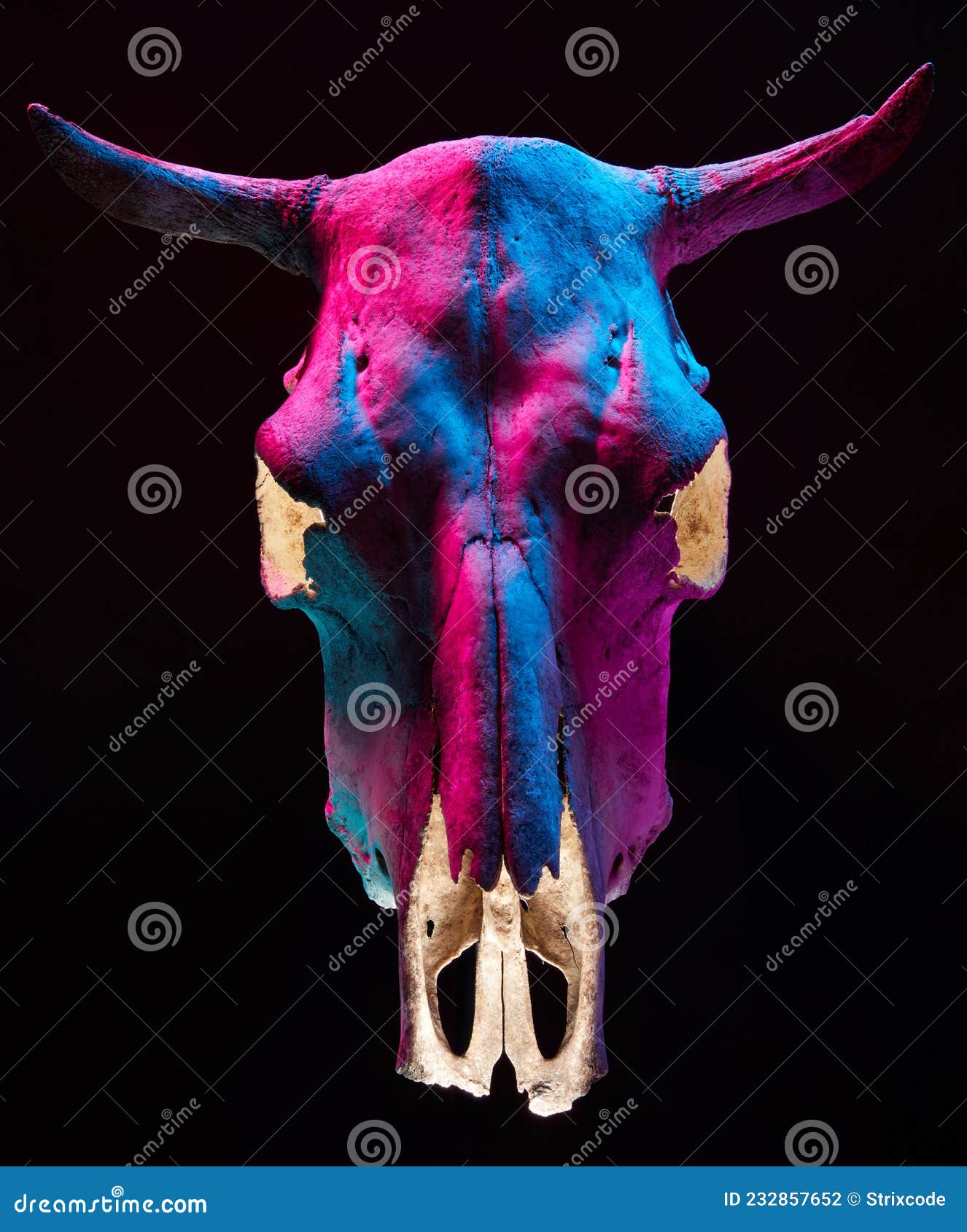 Cow skull light discount