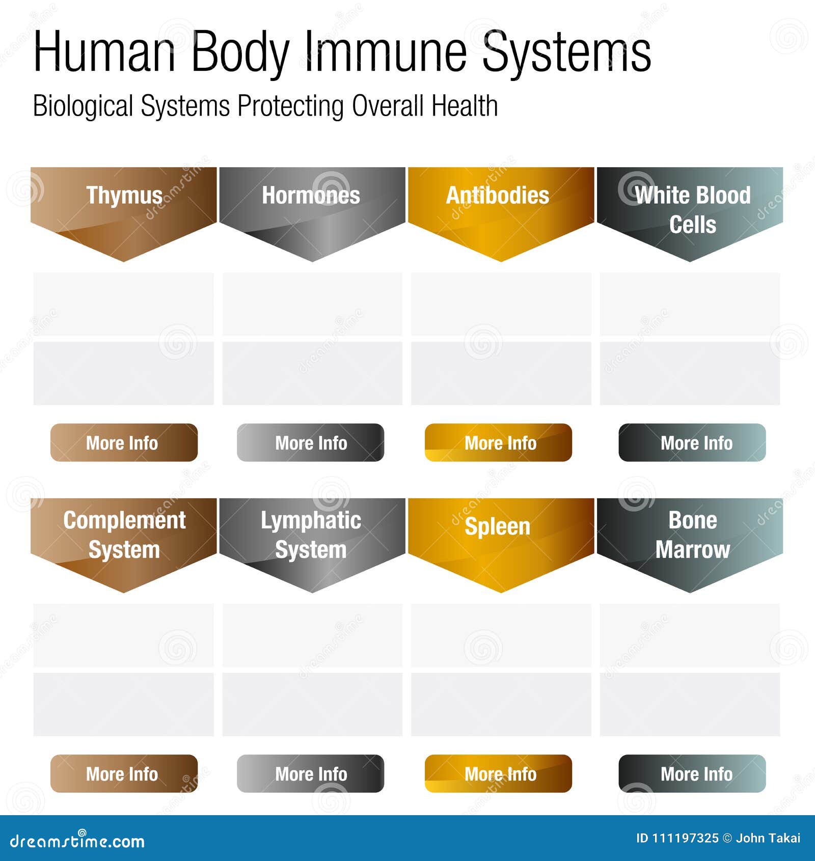 Immune System Cells Chart