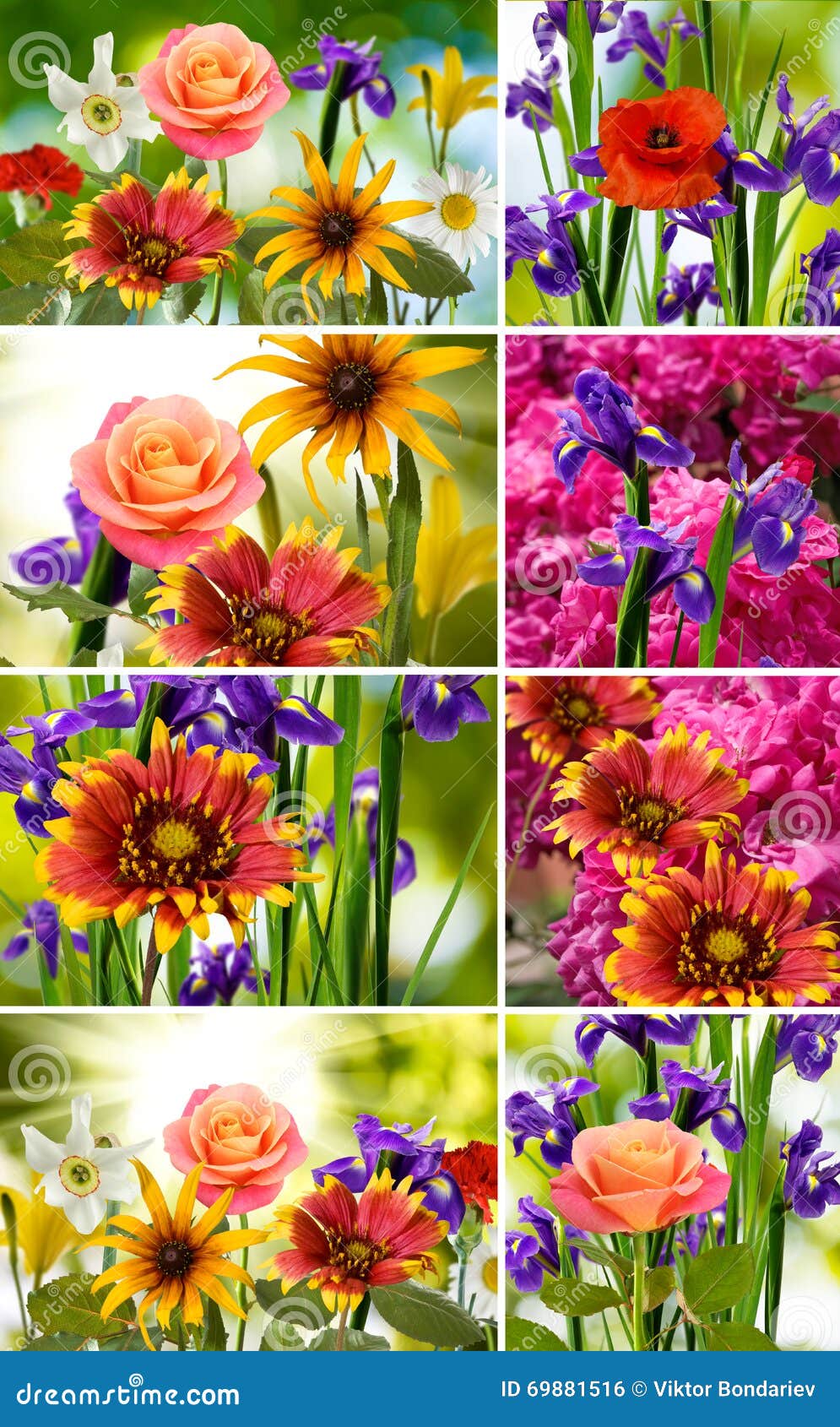 Image of Mix of Different Flowers in the Garden Closeup Stock Photo