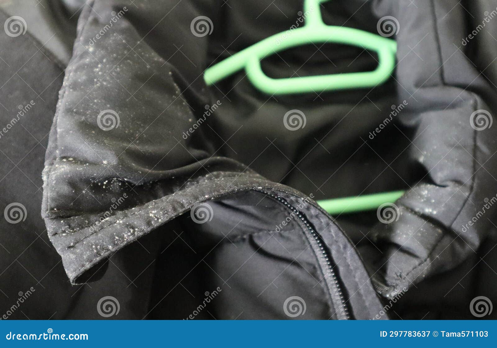 Closeup of a Black Down Jacket with Mold on it Stock Image Image of