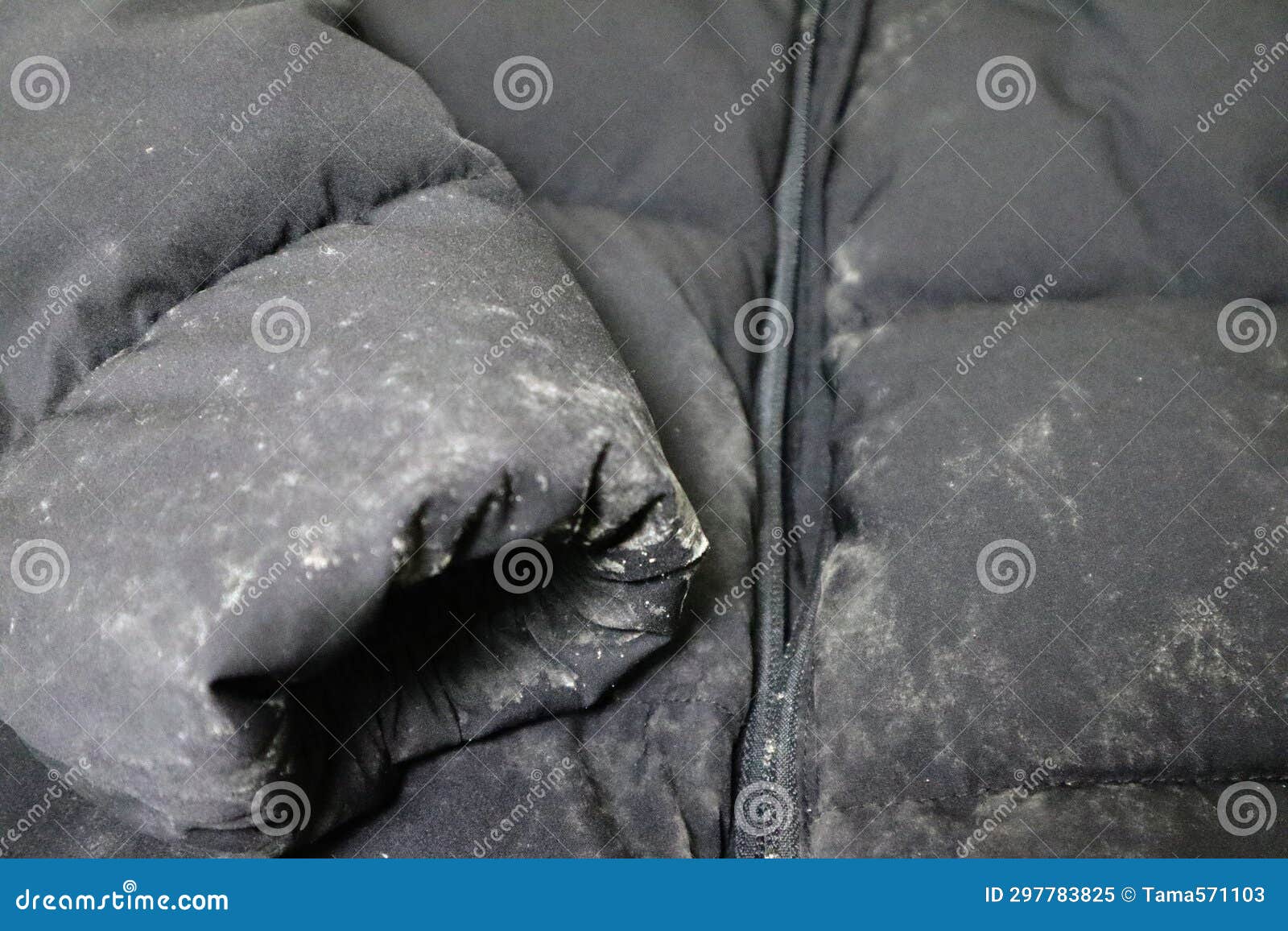 Closeup of a Black Down Jacket with Mold on it Stock Image Image of
