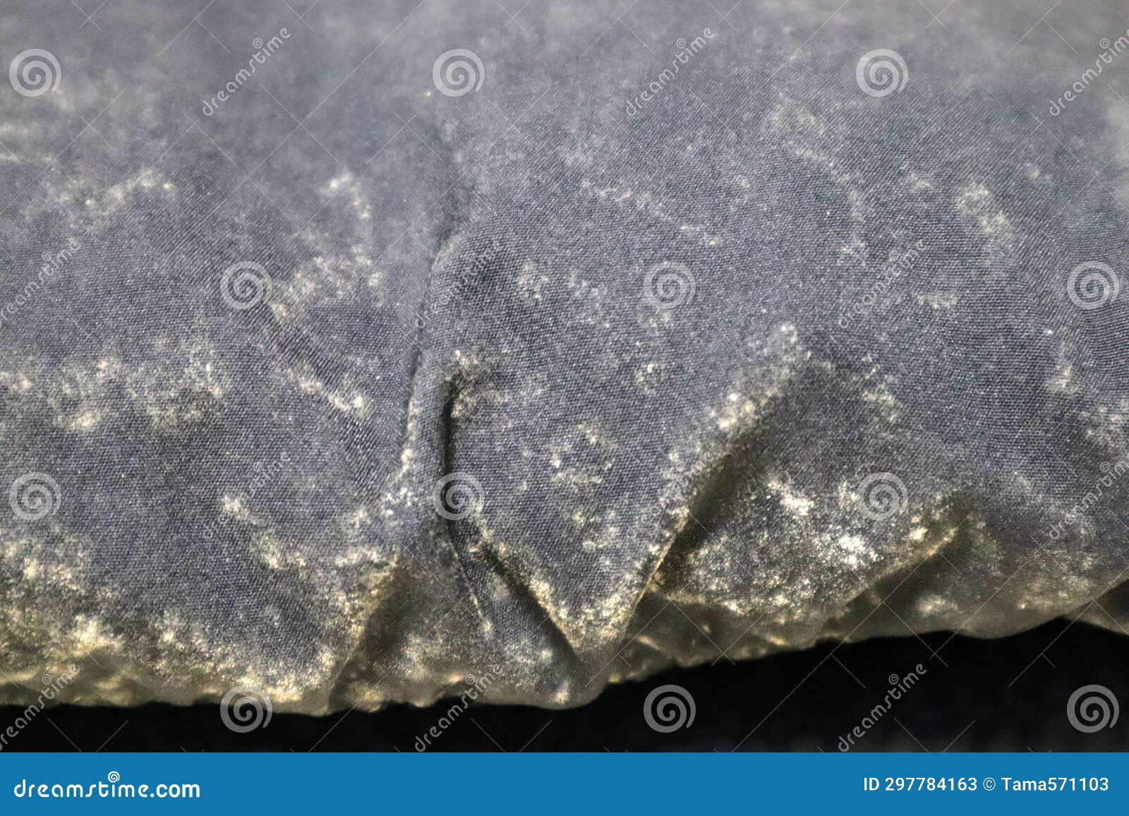 Closeup of a Black Down Jacket with Mold on it Stock Image Image of