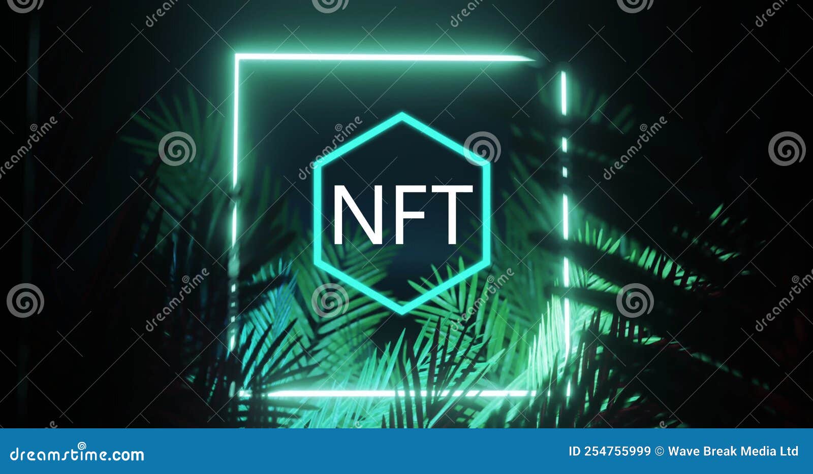 image of nft  and square in blue neon, over palm leaves on black background