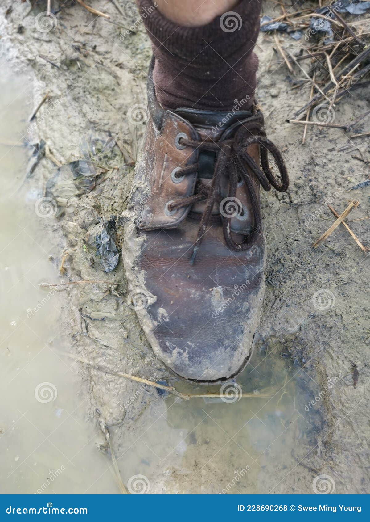 Old Shoe Stick with Mud from the Swampy Ground Stock Photo - Image of ...