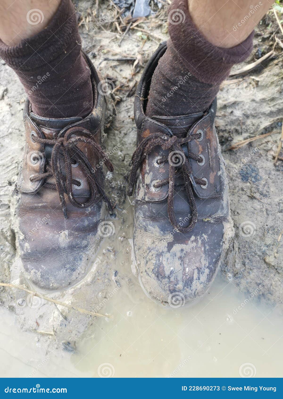 Old Shoe Stick with Mud from the Swampy Ground Stock Image - Image of ...