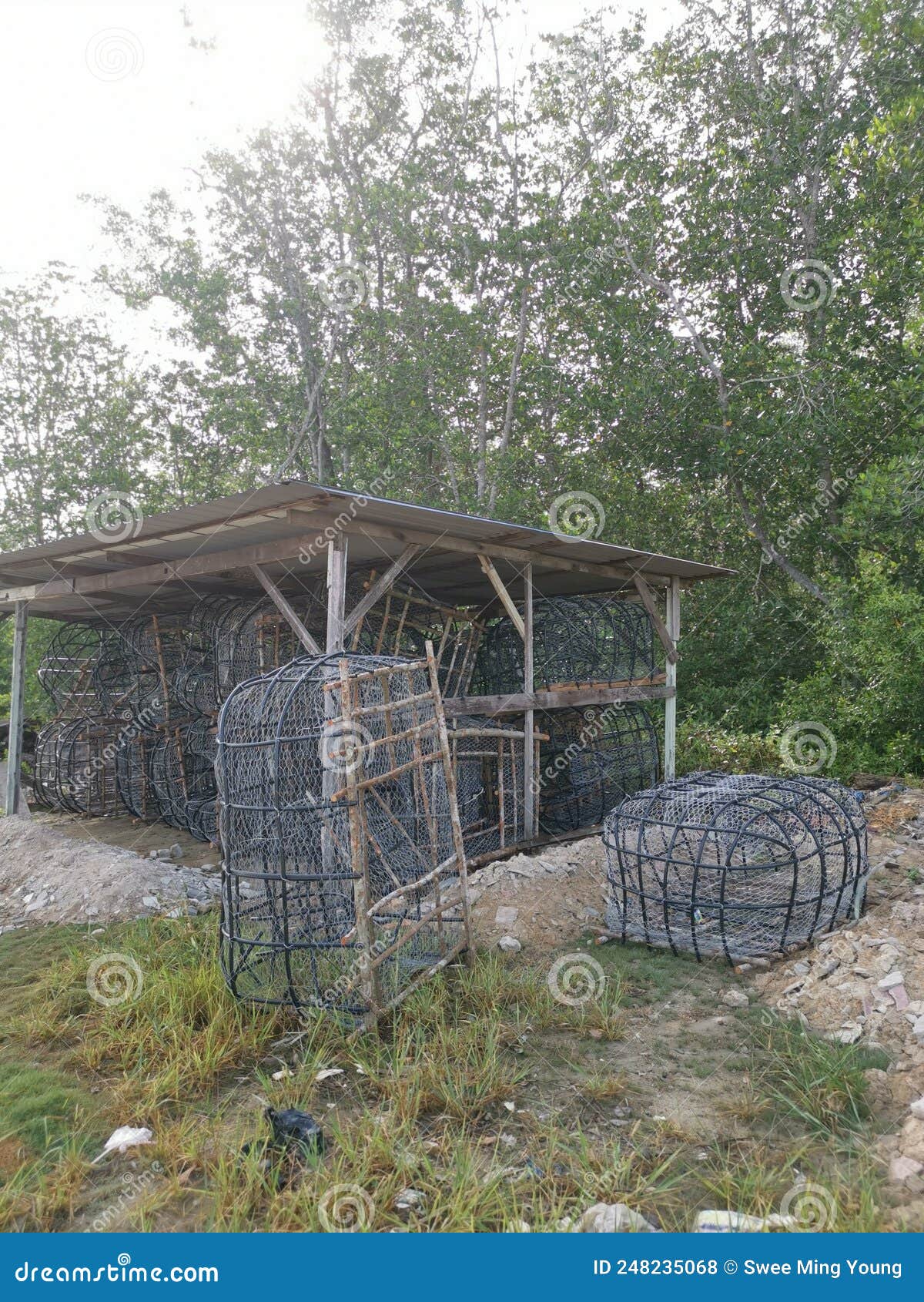 Outdoor Scene of the DIY Fish Trap Structure Make from Mangrove Wood,wire  and Polystyrene Pipe. Stock Photo - Image of mangrove, gear: 248235068