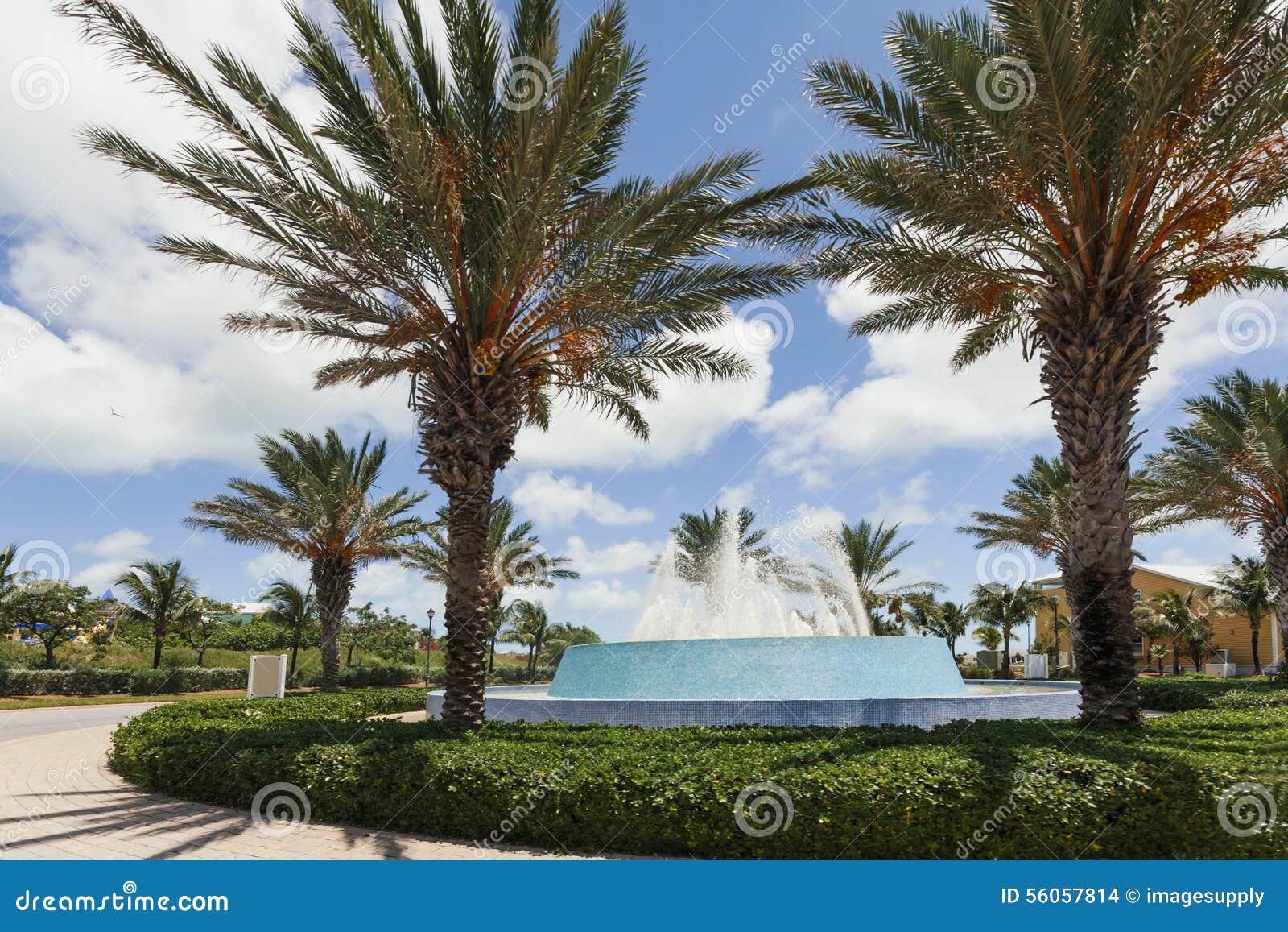 Image of Palm Trees Around a Water Fountain. Stock Photo Image of