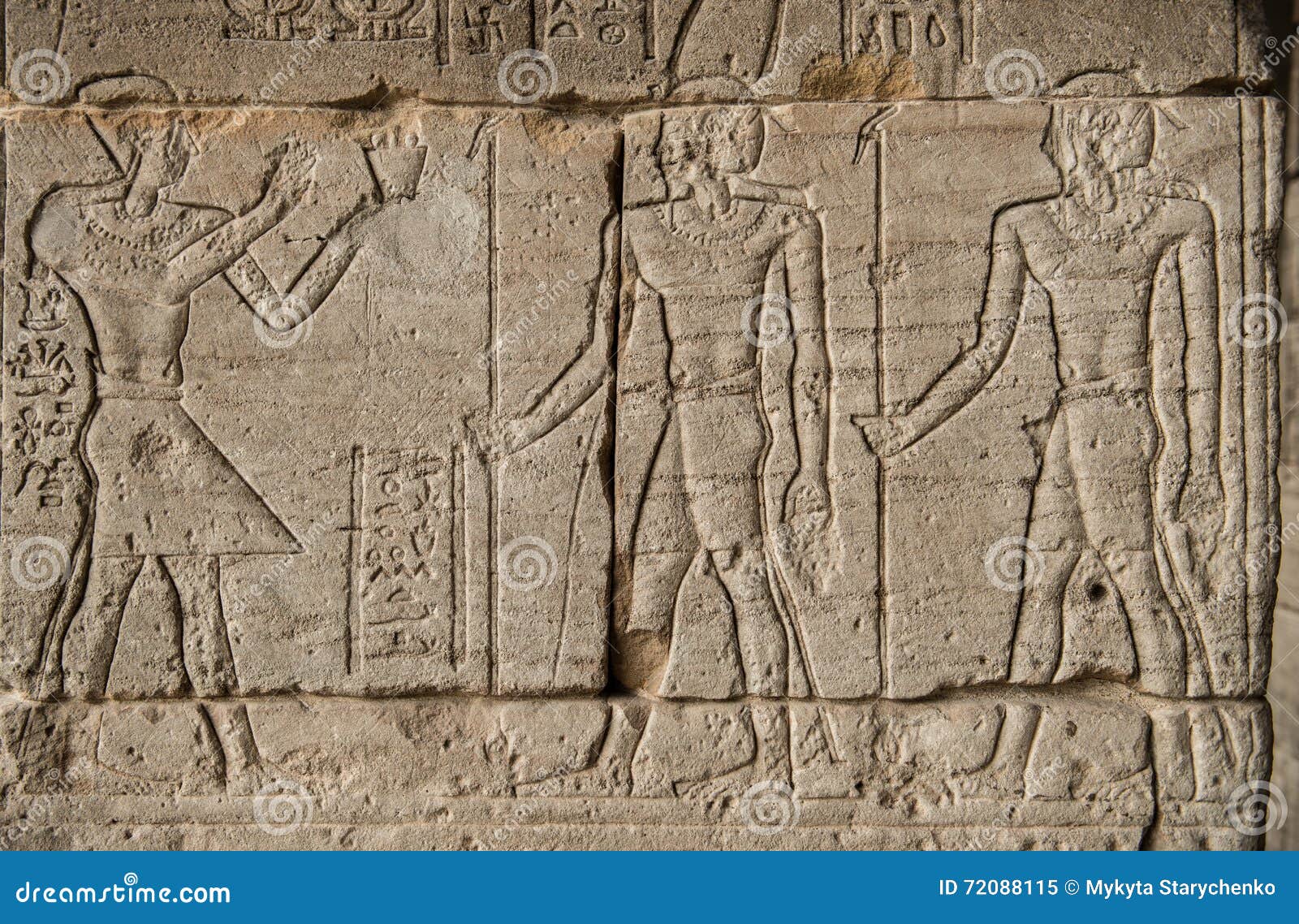 the image of pharaohs and warriors on walls of the egyptian