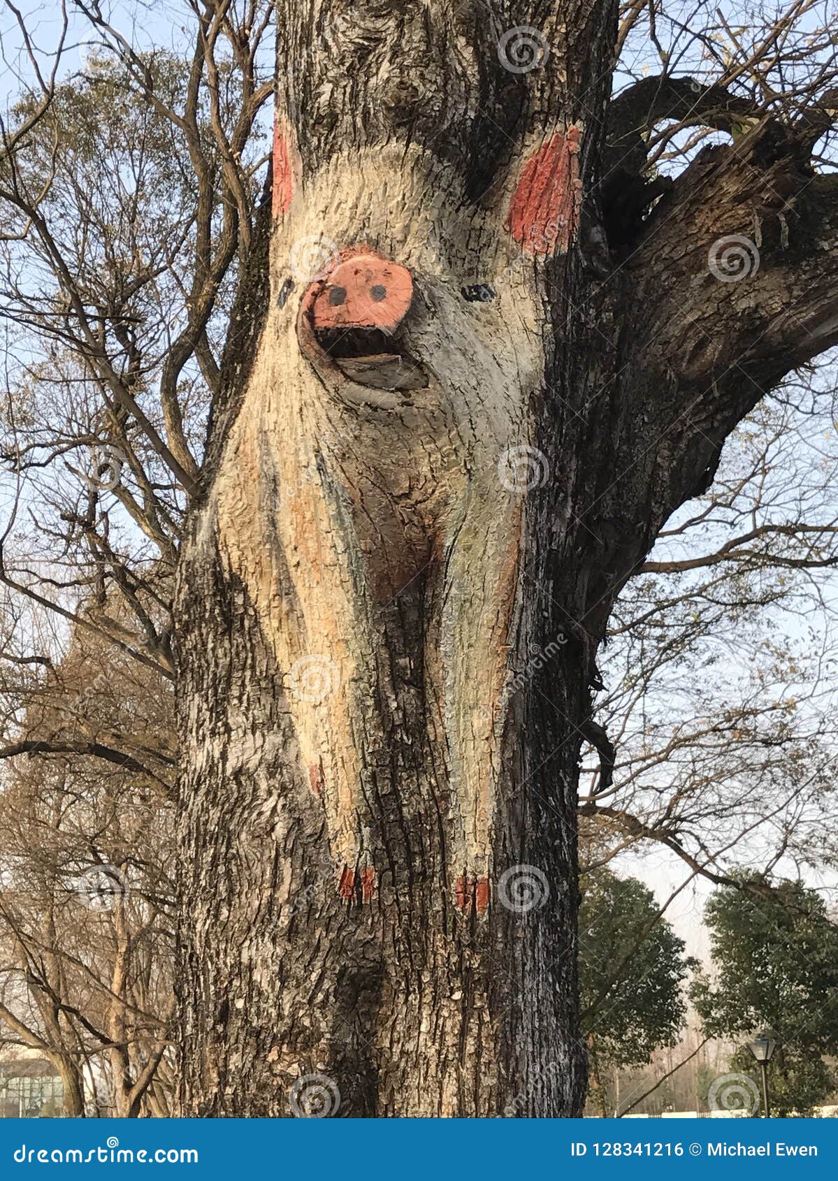 Pig Tree editorial photo. Image of autumn, painted, leaves 128341216