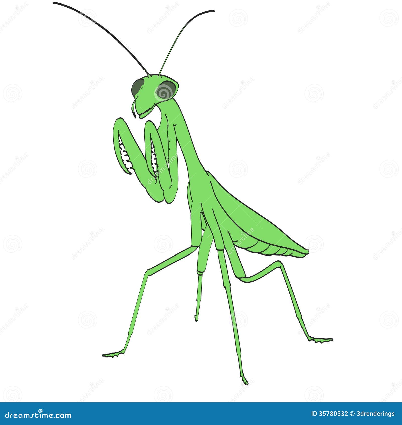 Image of praying mantis stock illustration. Illustration of drawing