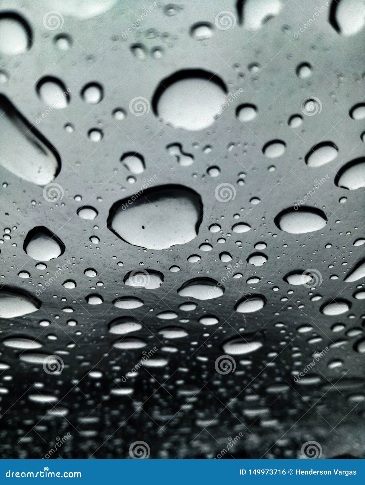 Image of Raindrops in Great Contrast. Rainy Season. Stock Photo - Image of  editing, textures: 149973716