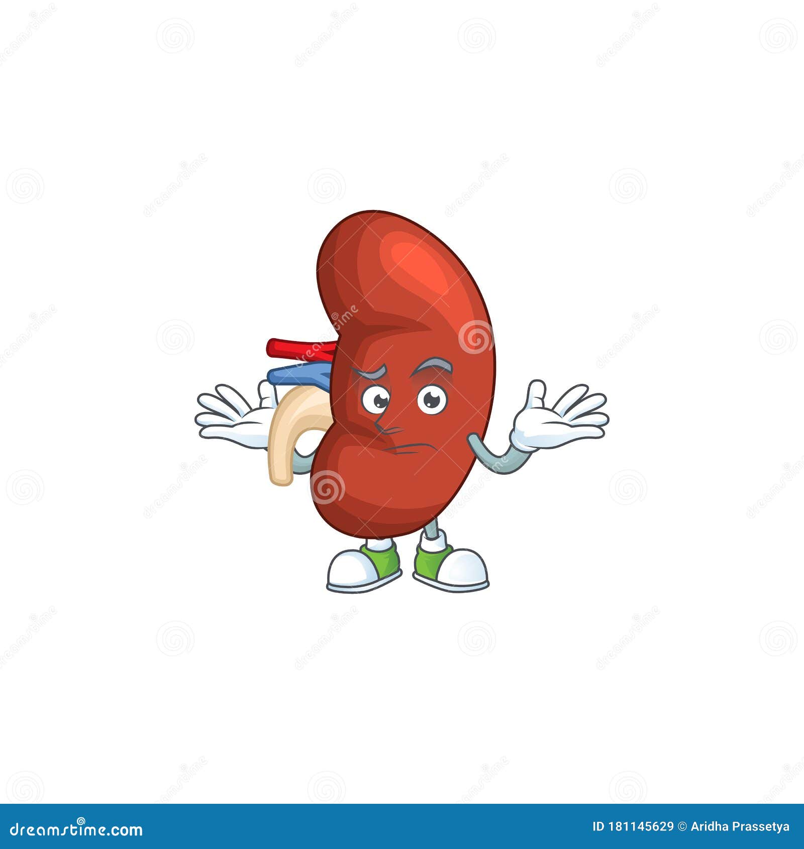 An Image of Right Human Kidney in Grinning Mascot Cartoon Style Stock ...