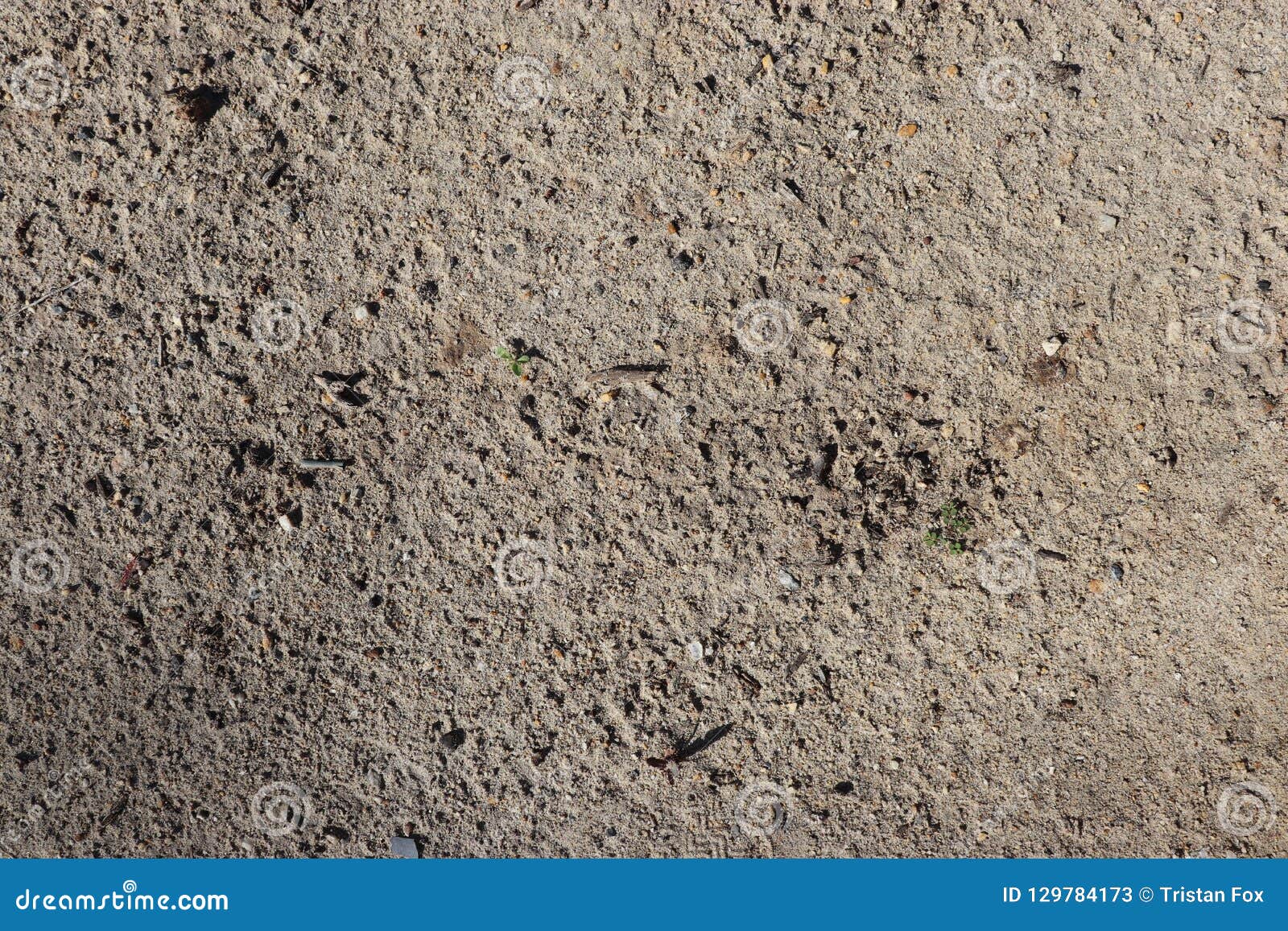 Sandy Ground Clutter Texture - Perfect for Videogames, Web Design ...