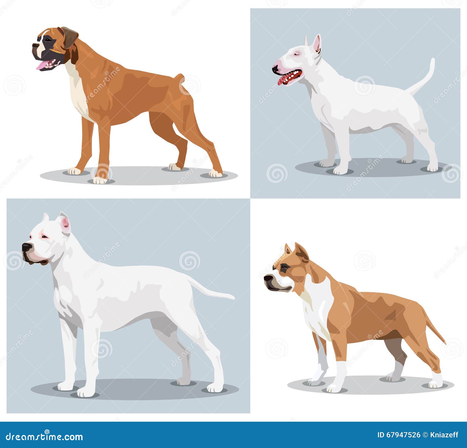 image set of dogs