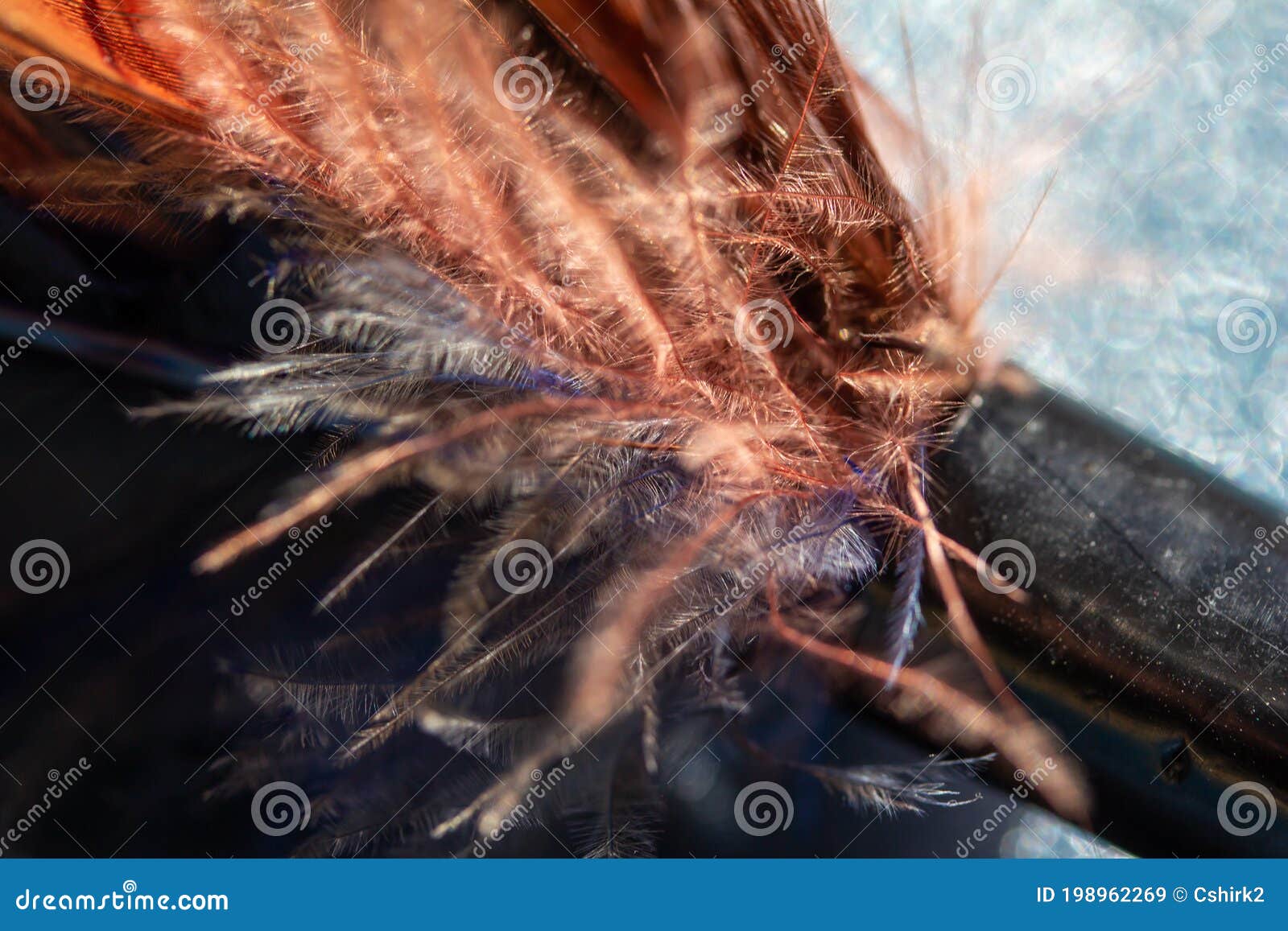 full frame macro art abstract background of a bright feather texture