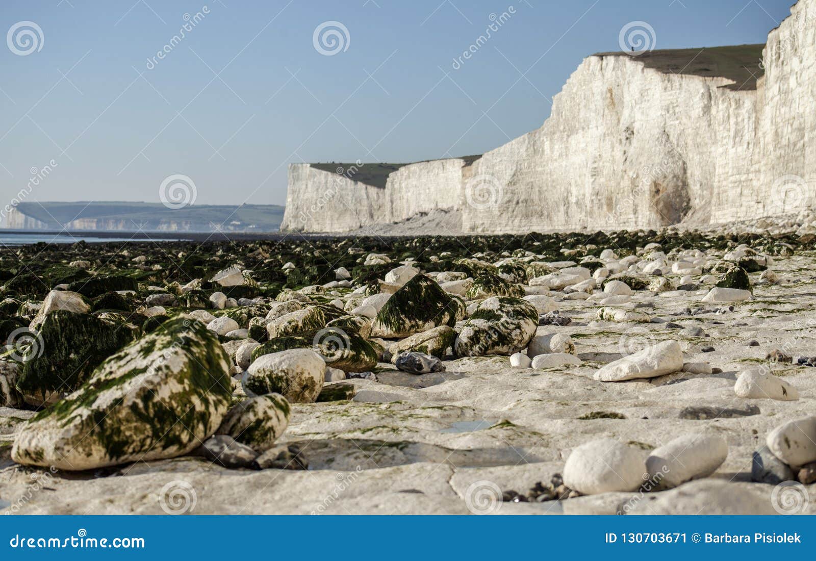 Seven Sisters, East Sussex; White Beach, Green Seaweeds on the Beach ...