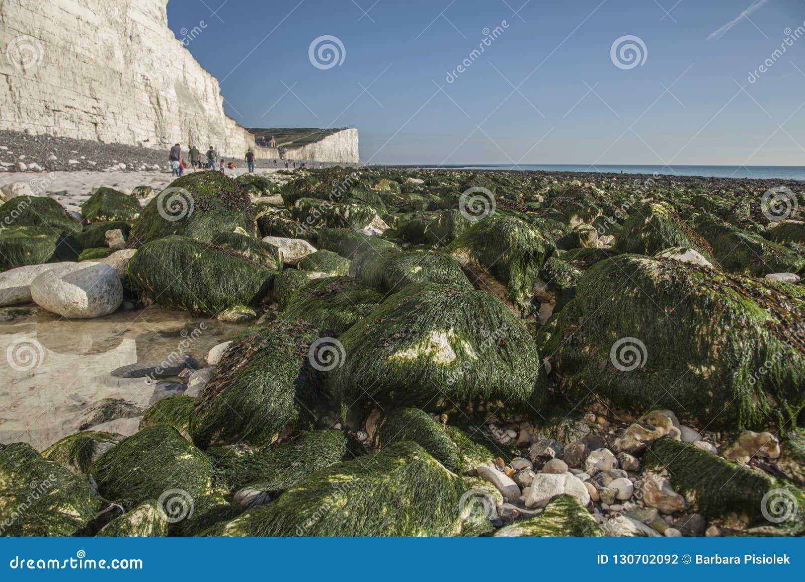 White Cliffs, Blue Skies and Green Seaweed - Seven Sisters, East Sussex ...