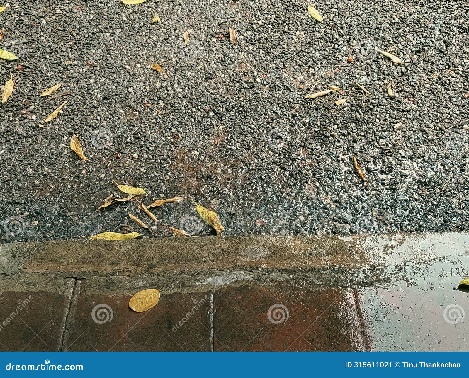 the image shows a wet road with leaves on the side. the ground is covered with water, indicating recent rainfall.