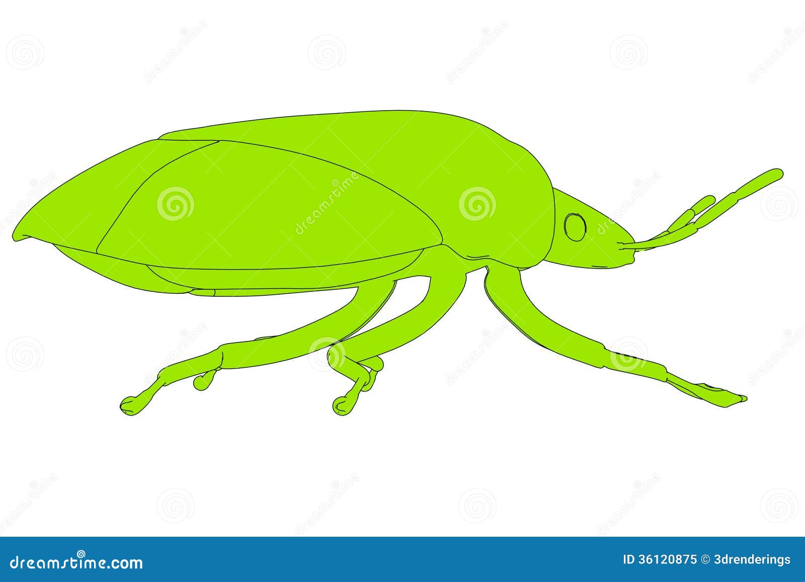 Image of stink bug stock illustration. Illustration of stink 36120875