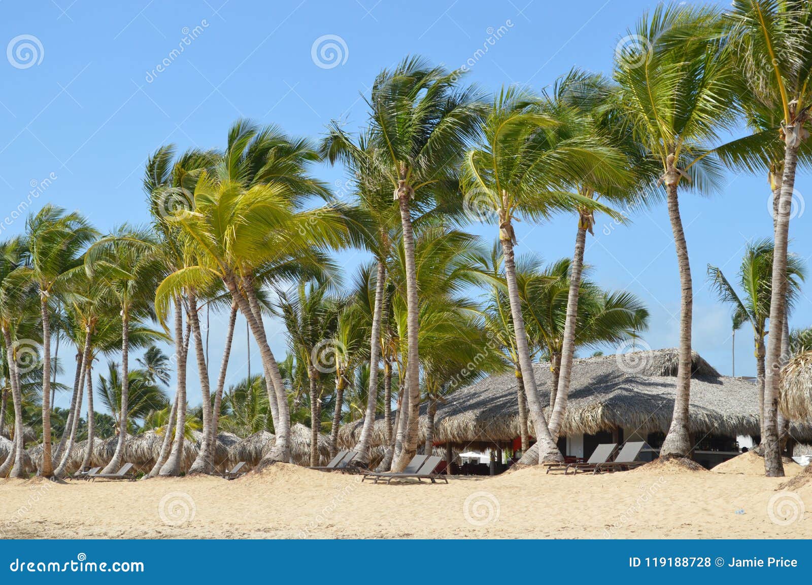 tropical beach dominican republic