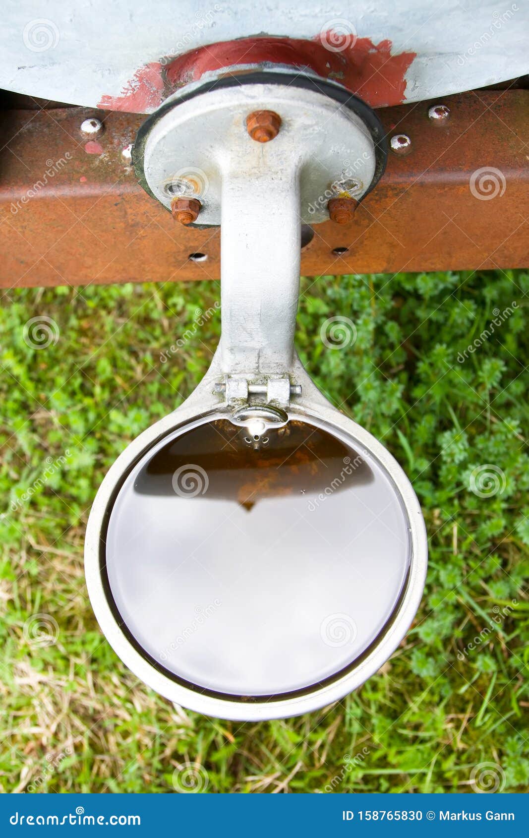Livestock watering stock photo. Image of livestock, farming 158765830