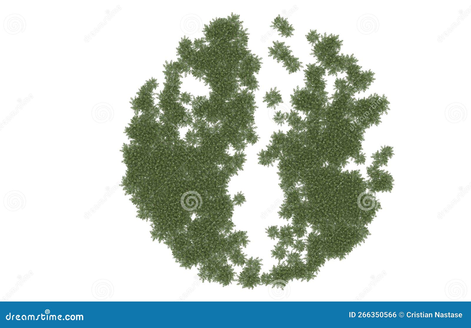 realistic plants  on background. 3d rendering - 