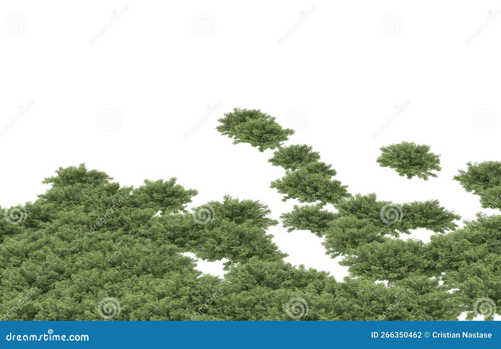 realistic plants  on background. 3d rendering - 