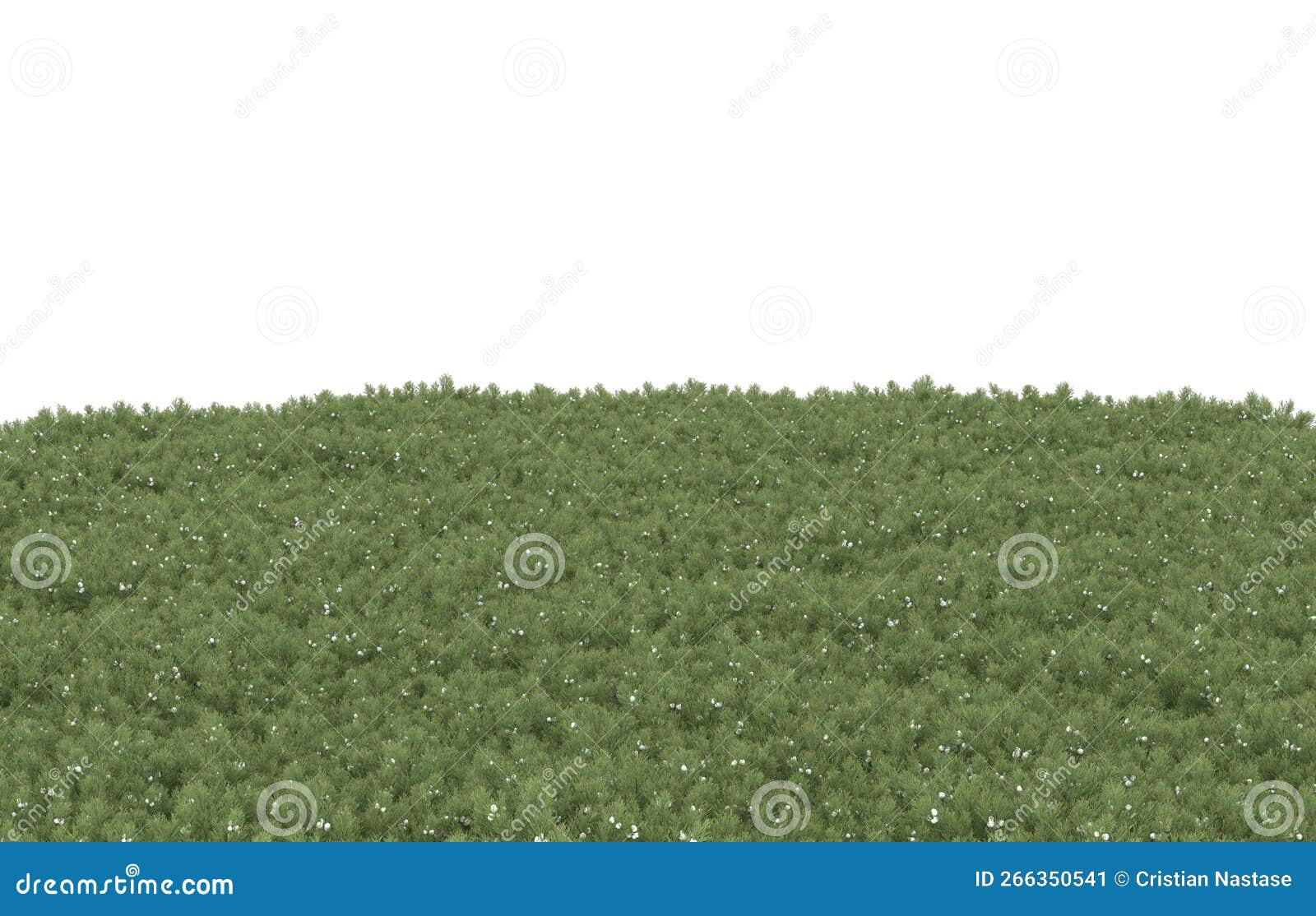 realistic plants  on background. 3d rendering - 