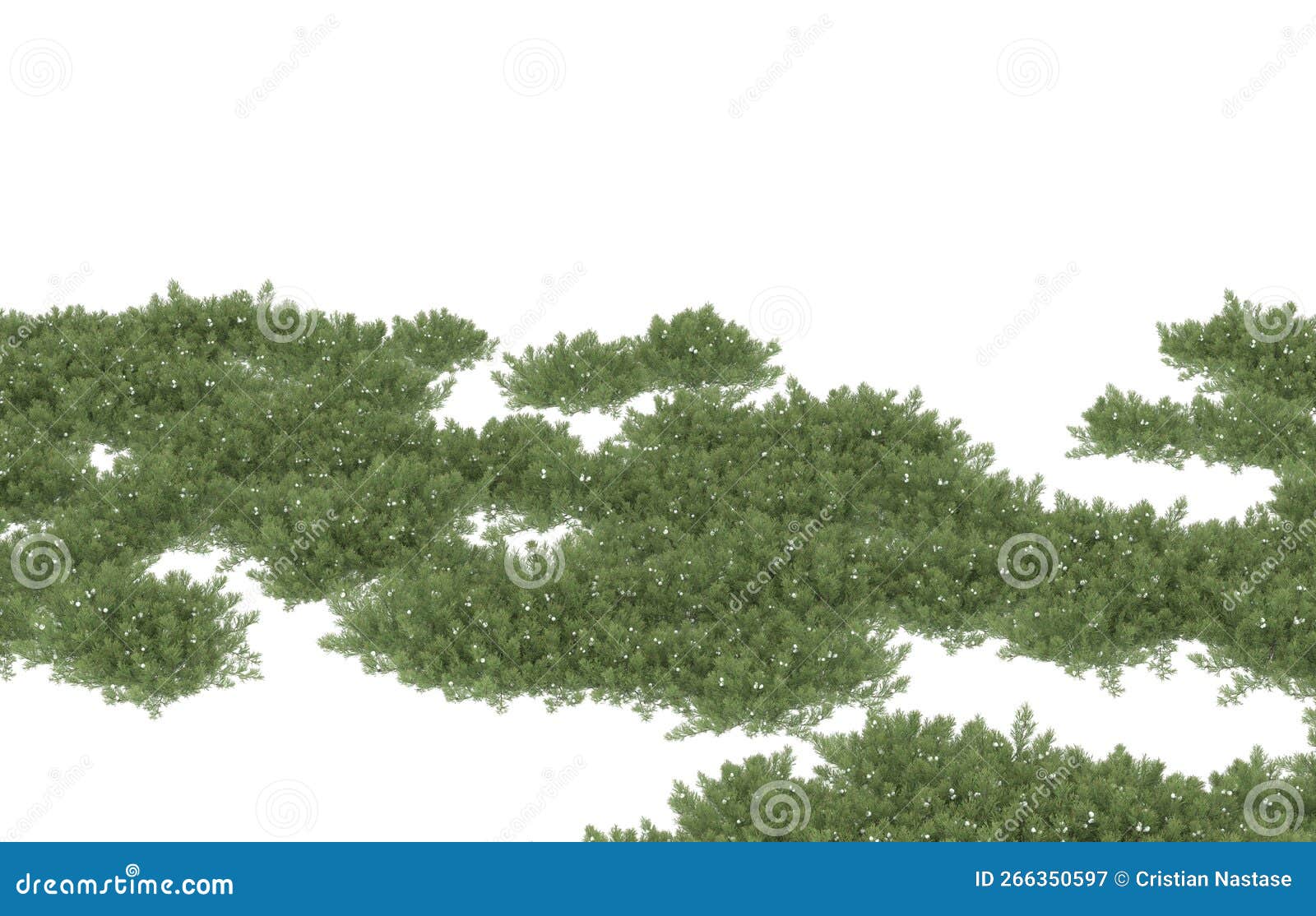 realistic plants  on background. 3d rendering - 