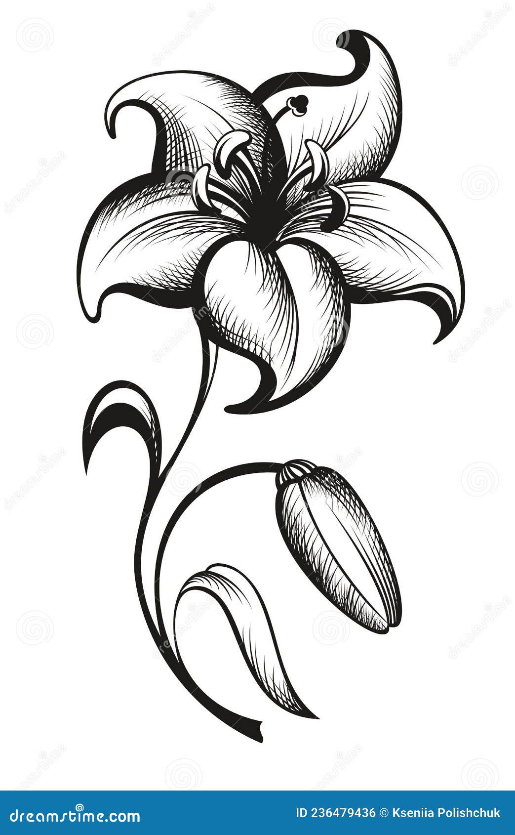 Image Vectorielle Noire De Fleur De Lys Isolée Sur Fond Blanc. Illustration  de Vecteur - Illustration du normal, décoratif: 236479436