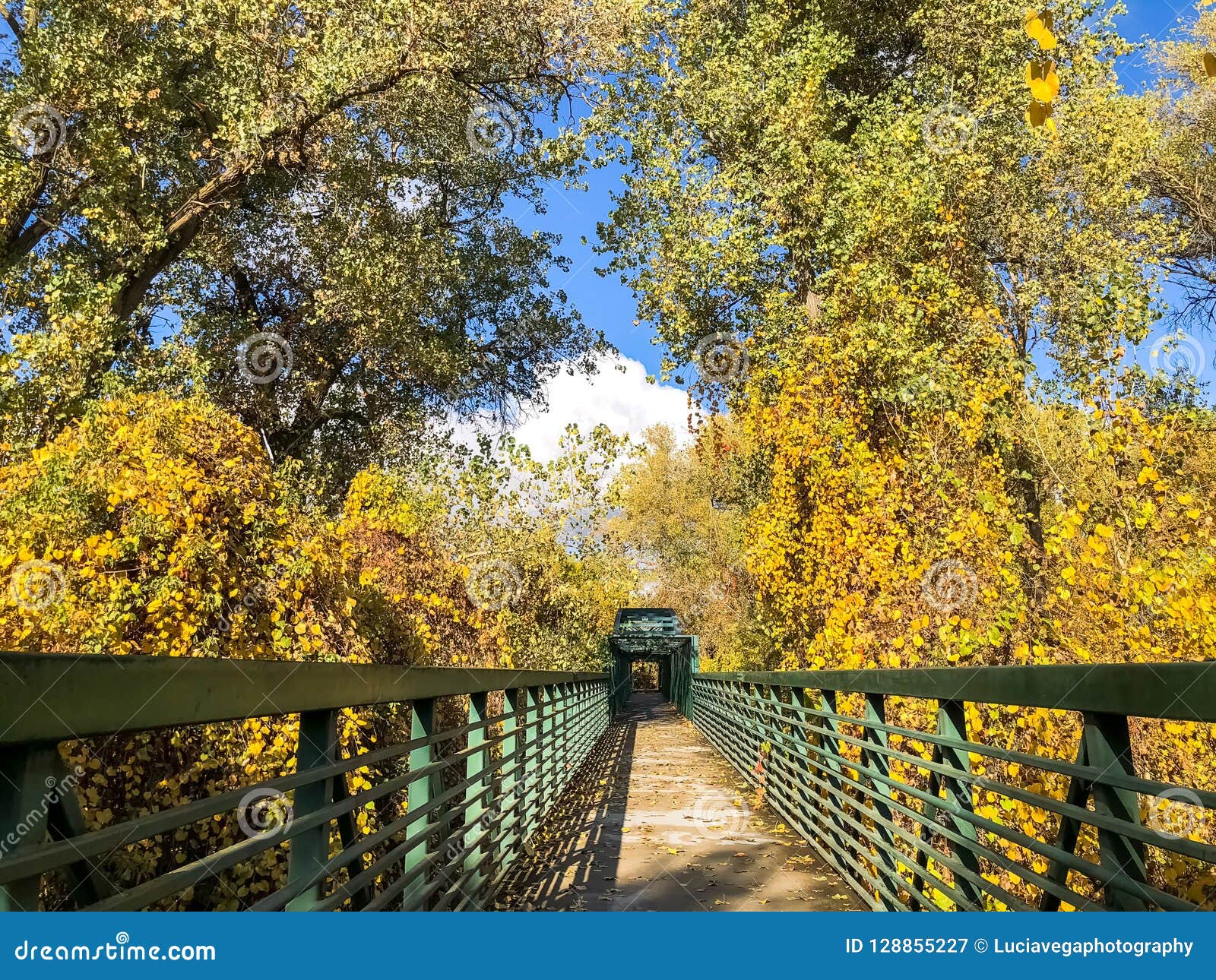 Ripon Army Corps River Crossing Stock Image Image of fall, outdoors 128855227