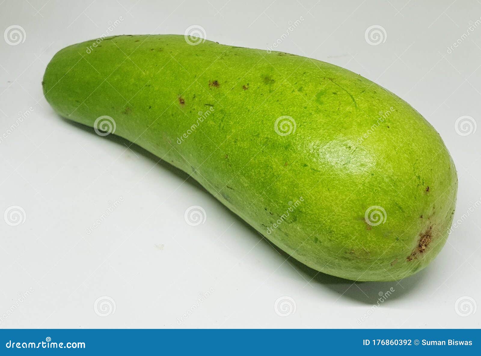 This is an Image of Wax Gourd or Benincasa Hispida Stock Photo Image