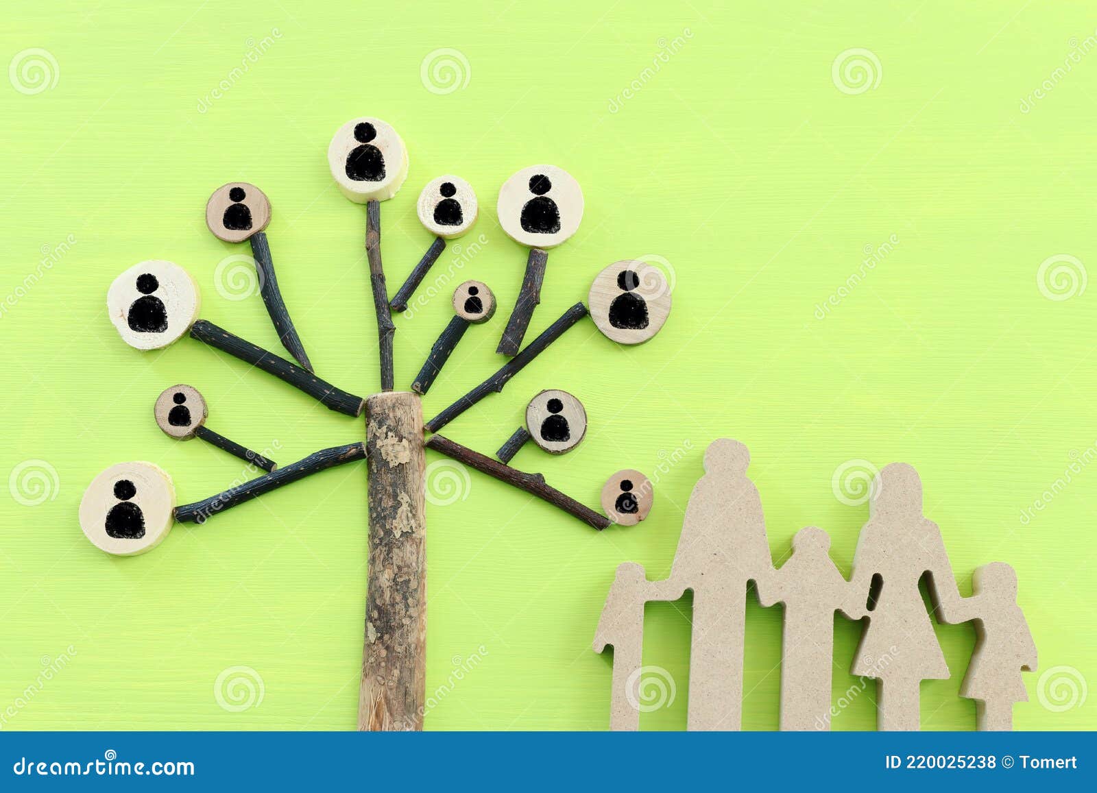 image of wooden growing family tree on green background