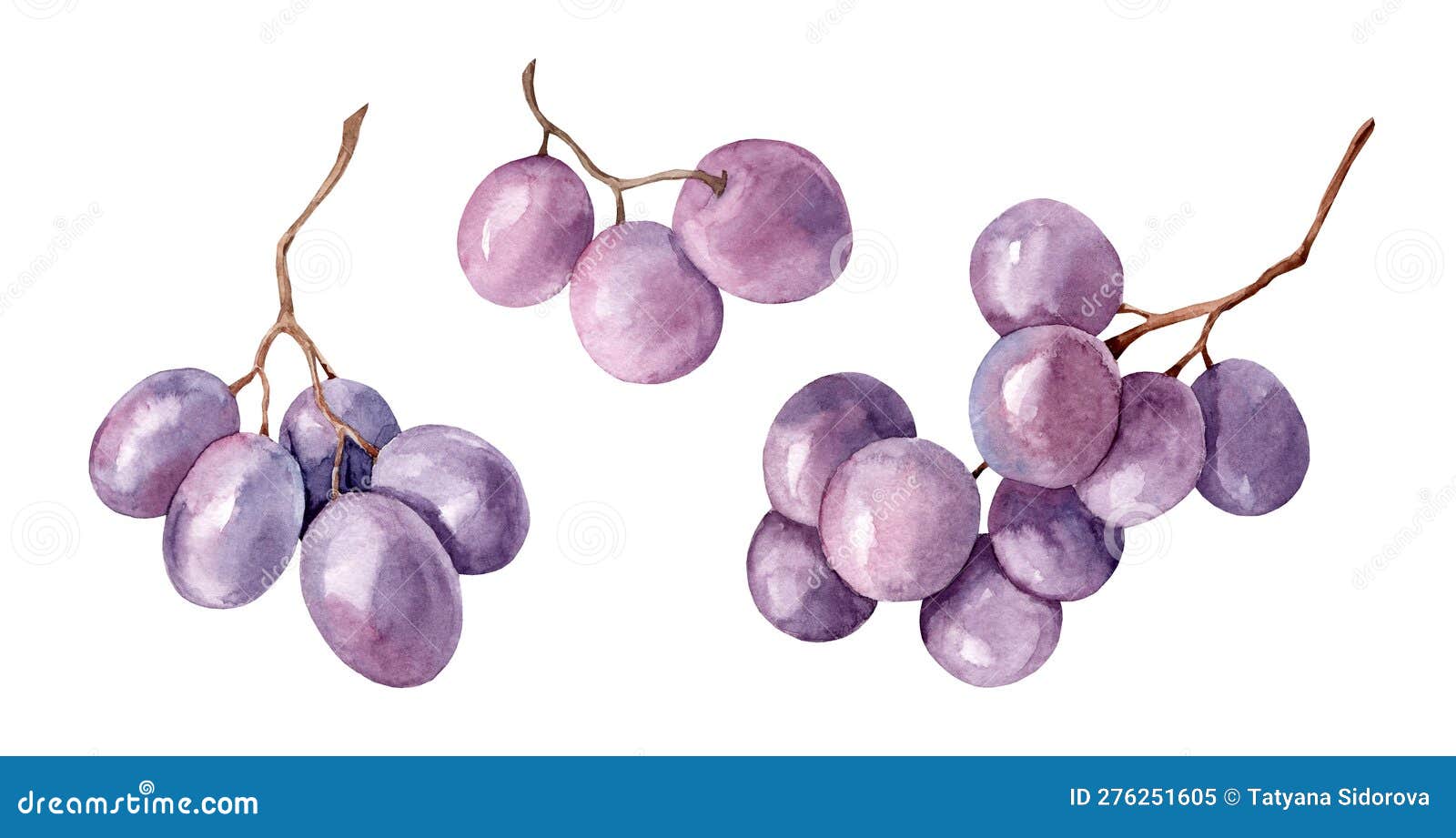 Um Monte De Uvas. Ilustração Deliciosa De Comida De Fruta. Modelo