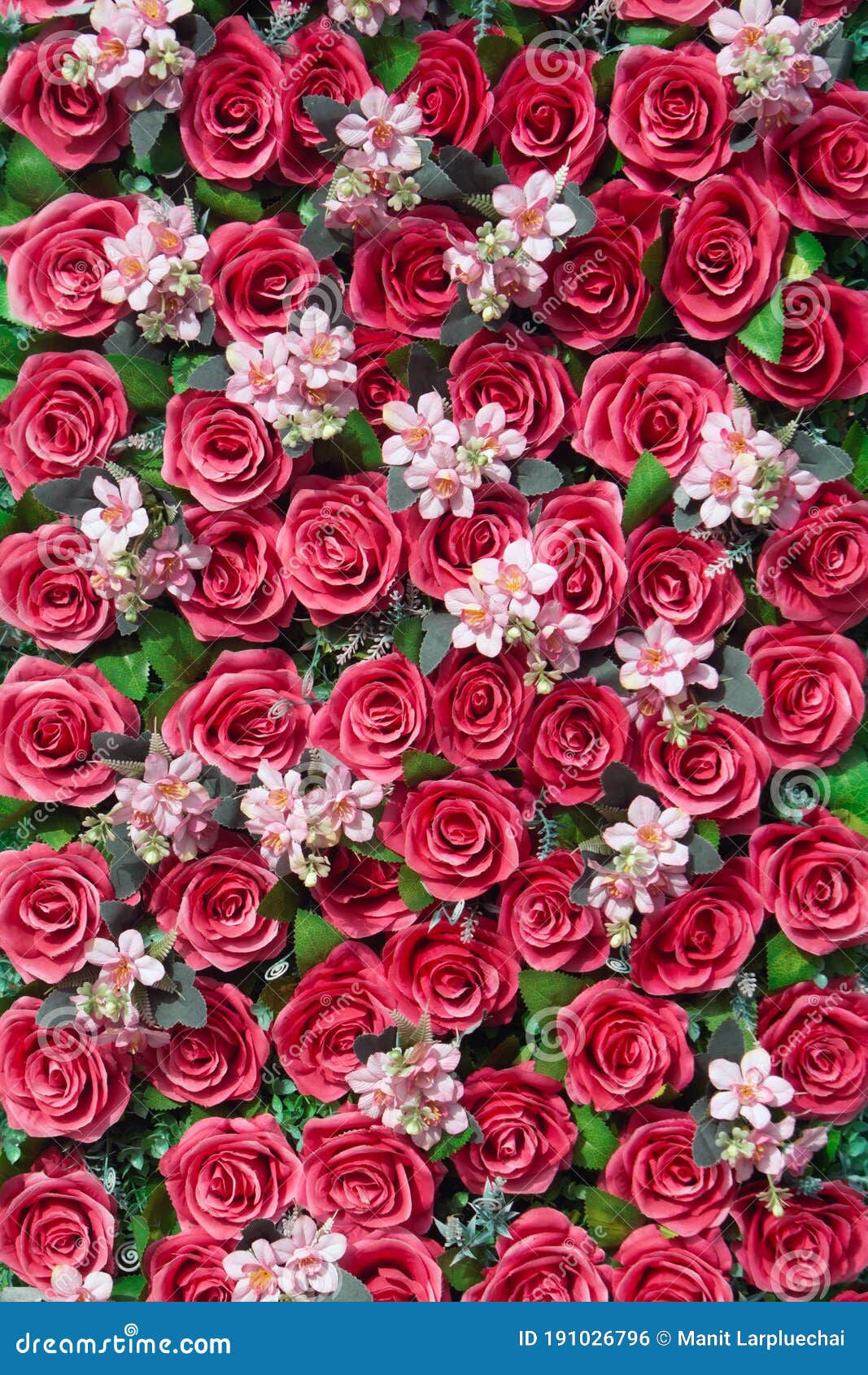 Imagem De Fundo De Rosas De Papel Uma Parede Decorada Com Flores Coloridas  Vermelhas Foto de Stock - Imagem de amor, elemento: 191026796