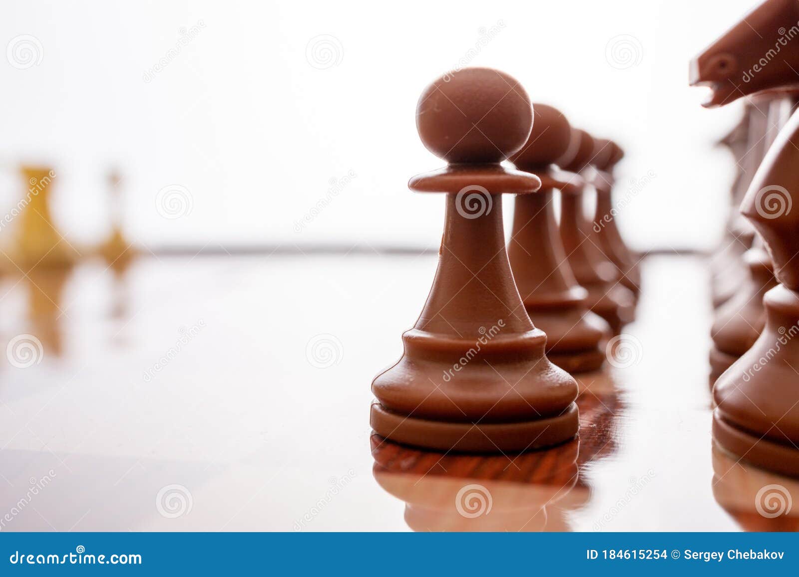 Dia mundial do xadrez
