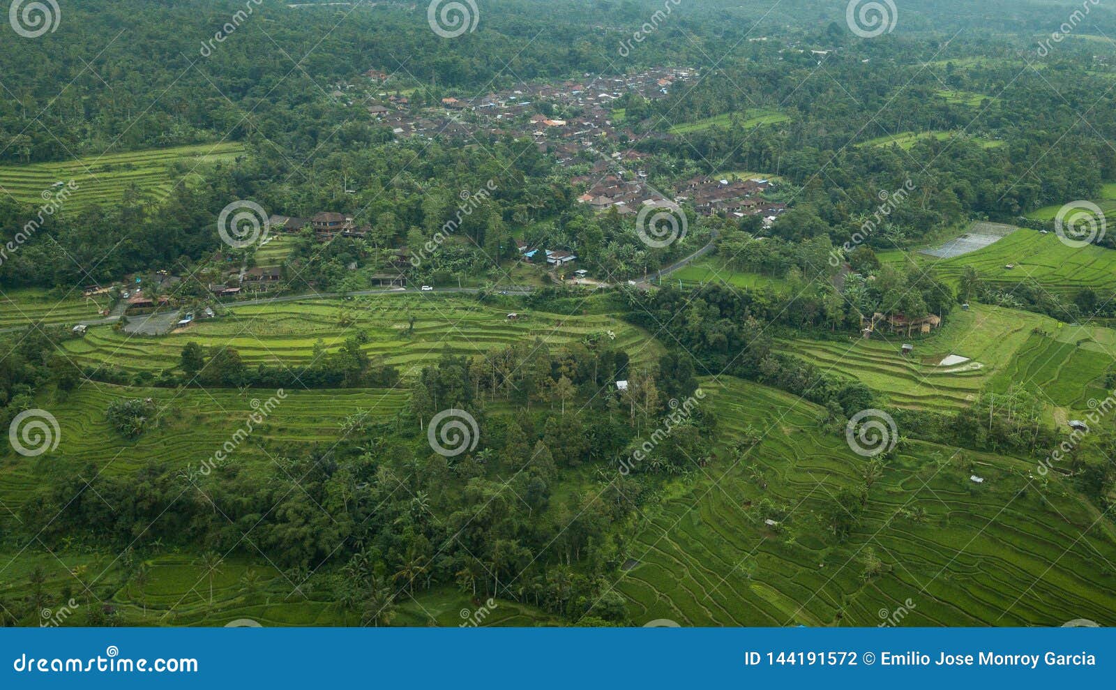 Imagen aérea de una ciudad rodeada por las palmas y la terraza del arroz. Imagen de una ciudad rodeada por los campos de la palma y del arroz en Bali, Indonesia