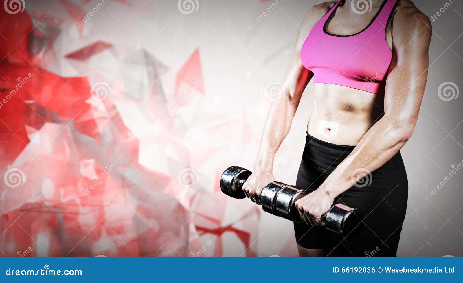 Imagen Compuesta De La Mujer Muscular Que Levanta Pesas De Gimnasia Pesadas Foto De Archivo 