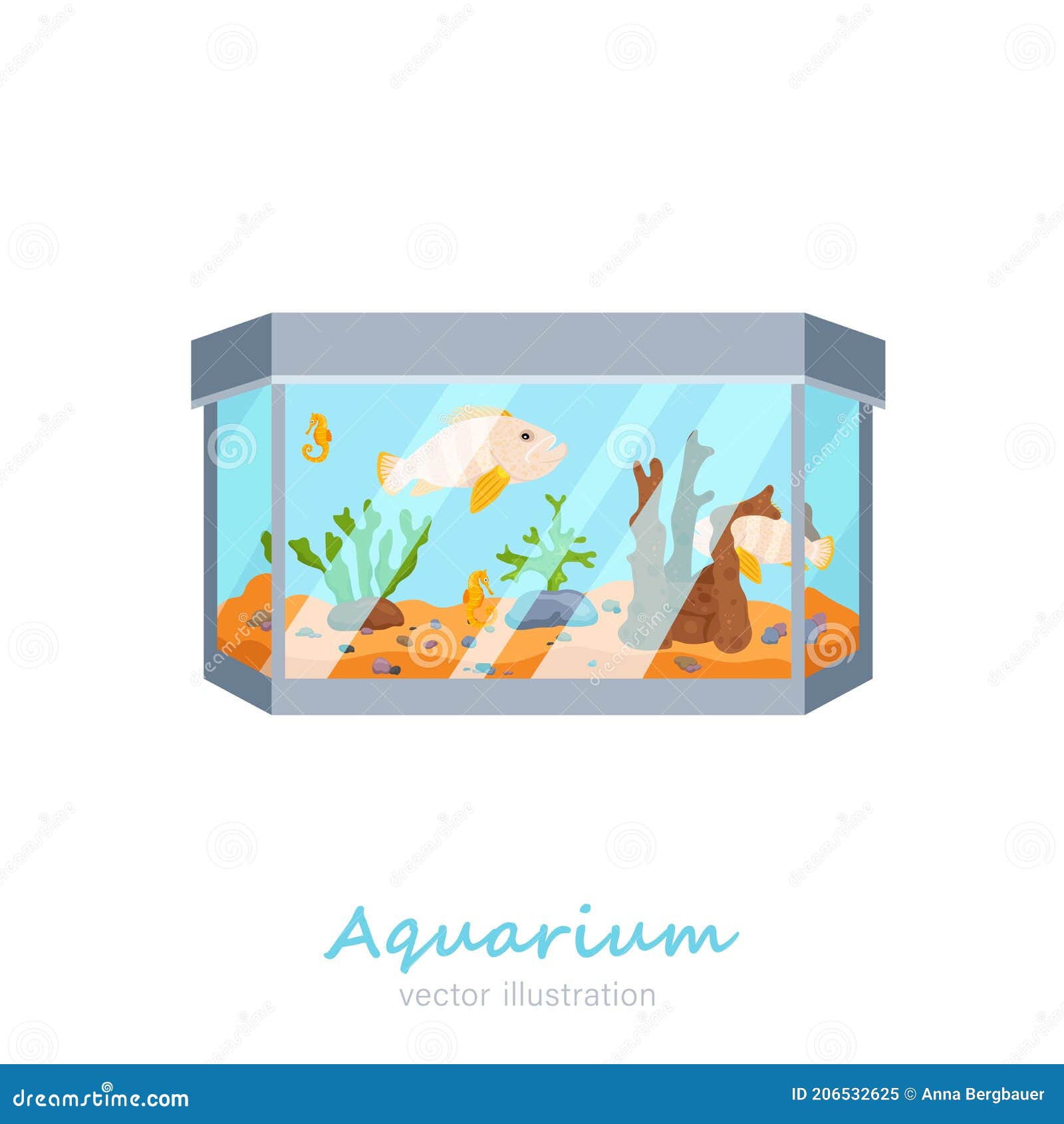Imagen De Acuario Vectorial Stock de ilustración - Ilustración de salino, perspectiva: 206532625 Imagen De Acuario Vectorial Stock de ilustración - Ilustración de salino, perspectiva: 206532625