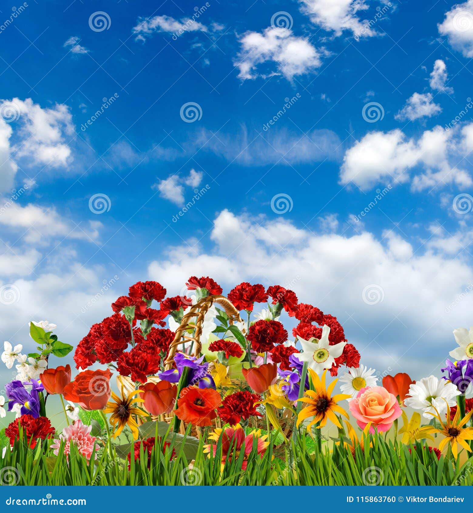 Imagen De Muchas Flores Hermosas En Un Primer Del Jardín Foto de archivo - Imagen de elegancia, amor: 115863760 Imagen De Muchas Flores Hermosas En Un Primer Del Jardín Foto de archivo - Imagen de elegancia, amor: 115863760