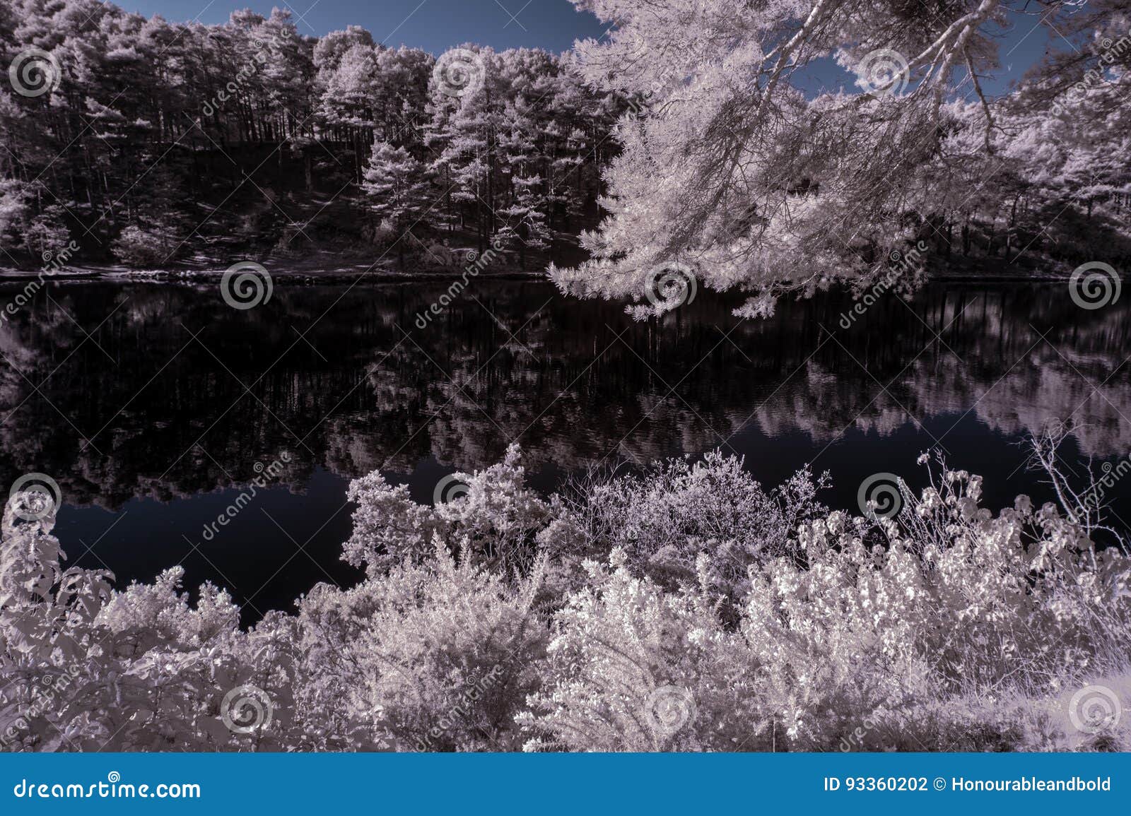 Imagen infrarroja surrealista del paisaje del color falso hermoso del lago a. Imagen infrarroja surrealista inusual hermosa del paisaje del lago y del bosque circundante