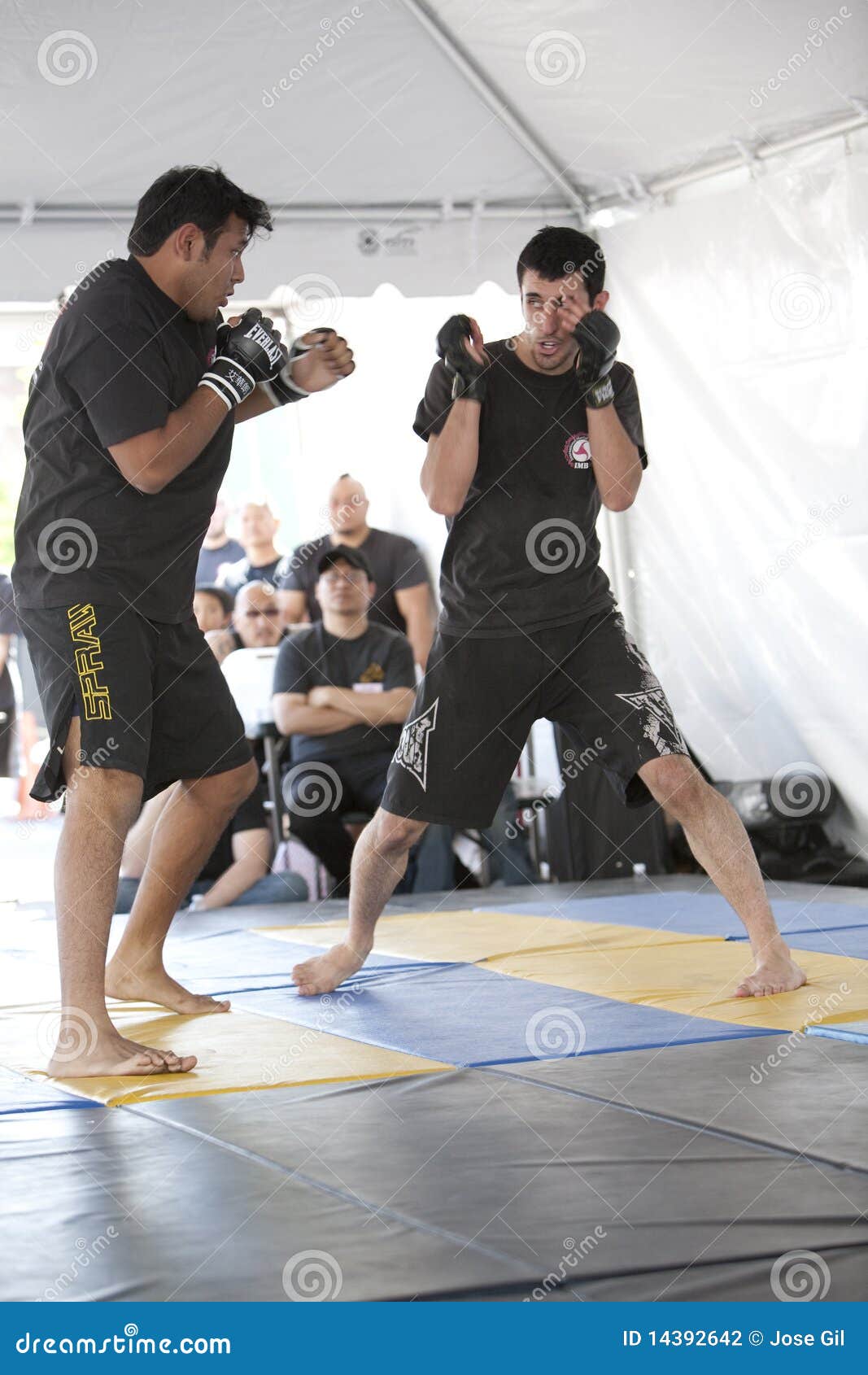IMB Mixed Martial Arts editorial photography. Image of festival 14392642