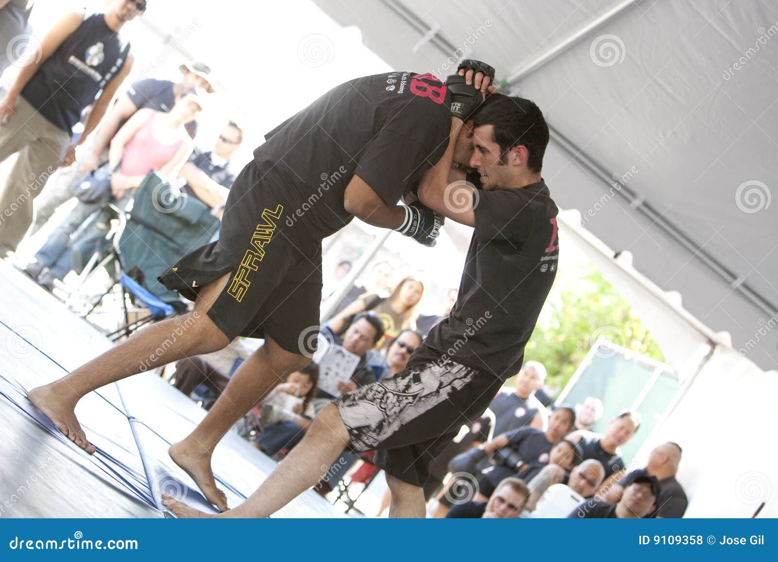 IMB Mixed Martial Arts editorial stock photo. Image of spar 9109358
