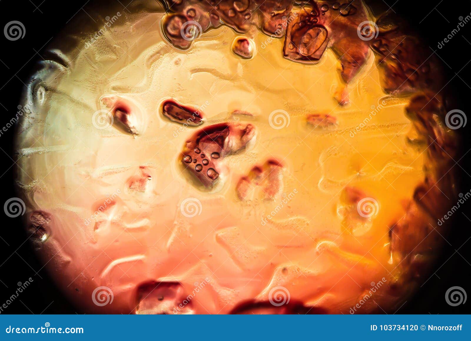 Imitação das bactérias e dos micro-organismos, vista microscópica, fundo abstrato macro
