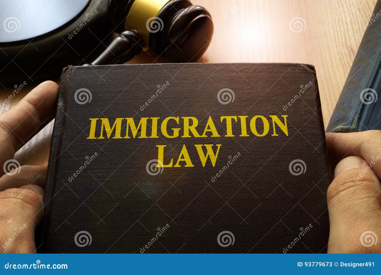 immigration law.