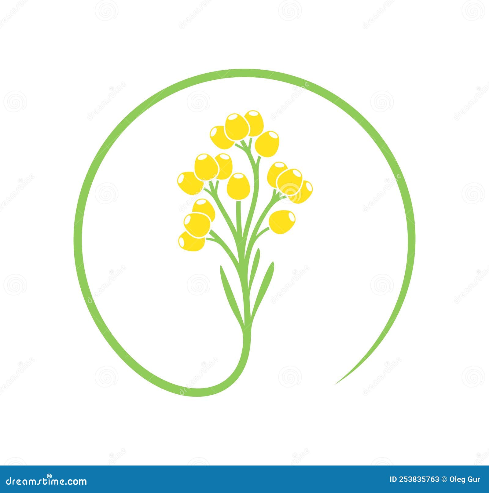 immortelle-logo-isolated-immortelle-on-white-background-cartoon-vector