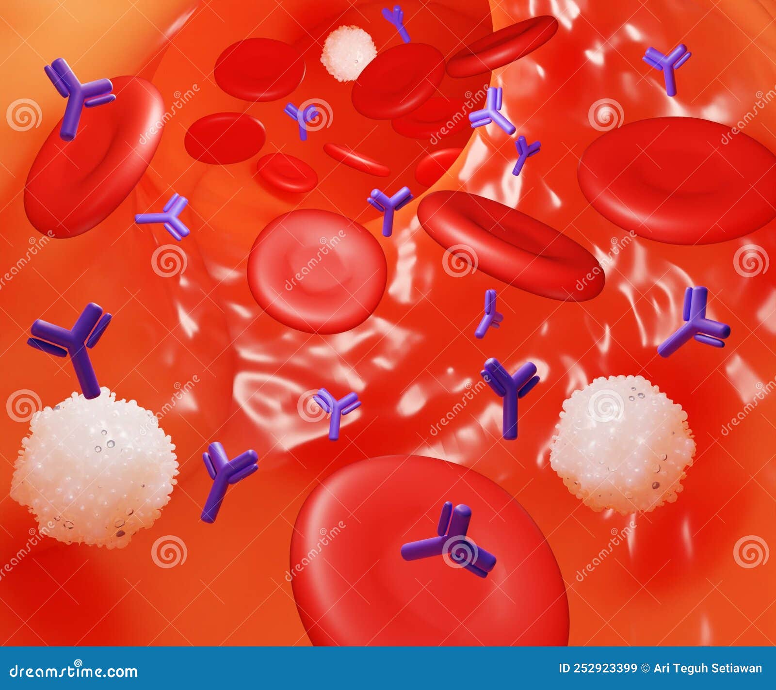 An Immune Response Initially Involves the Production of Antibodies in