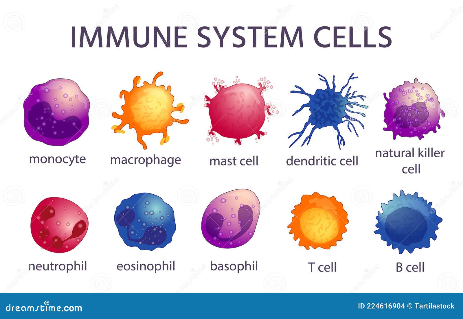 Innate Immunity Sticker Icon Cartoon Vector | CartoonDealer.com #231937567