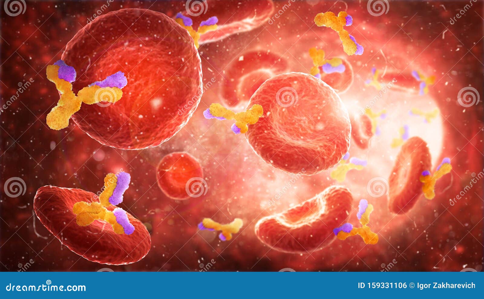 immunity. red blood cells with antibodies in an artery, flow inside body