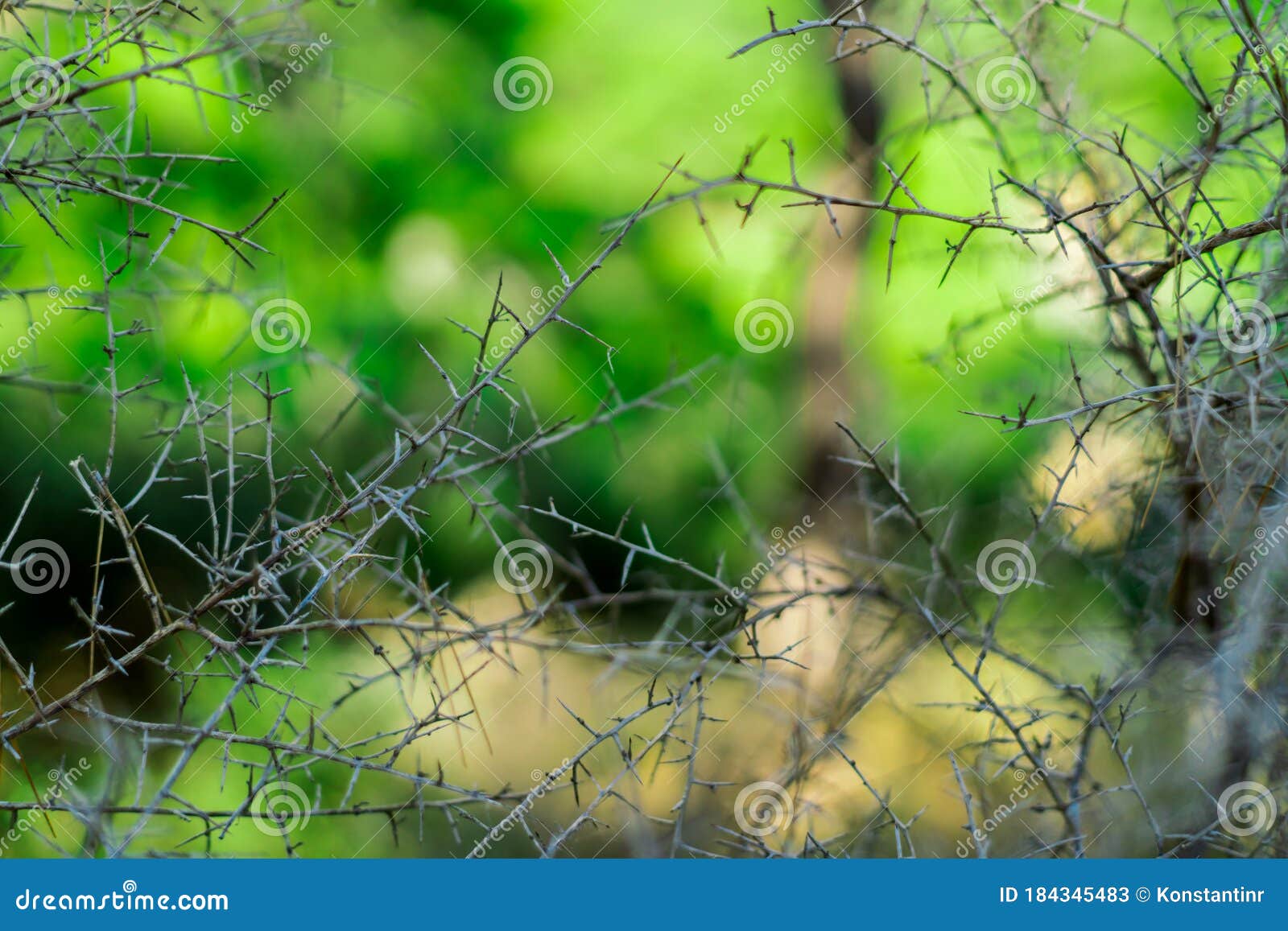 insurmountable obstacle insurmountable obstacle